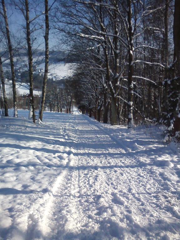Privat Pohoda Paseky nad Jizerou Exterior photo