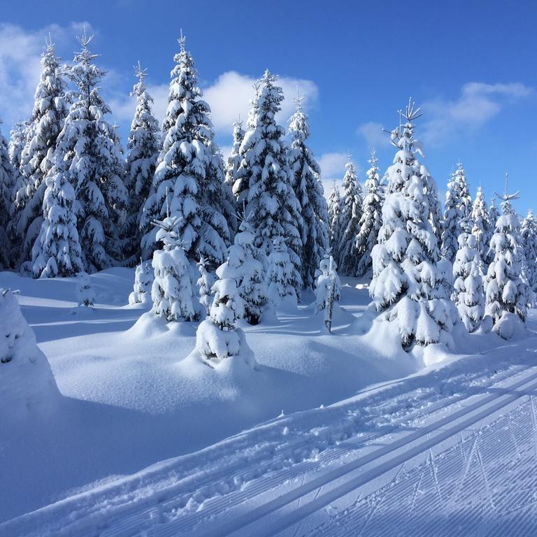 Privat Pohoda Paseky nad Jizerou Exterior photo