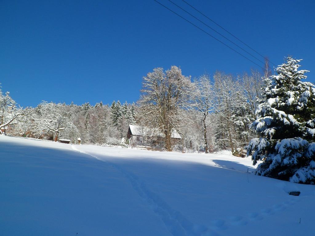 Privat Pohoda Paseky nad Jizerou Exterior photo